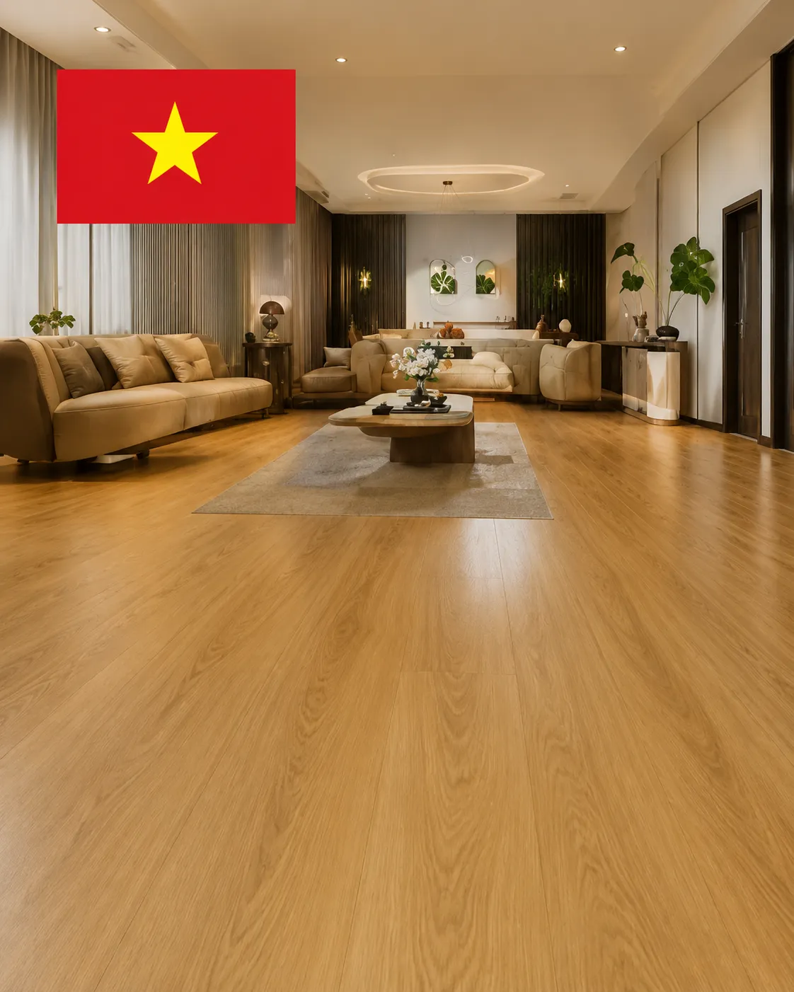 vn
